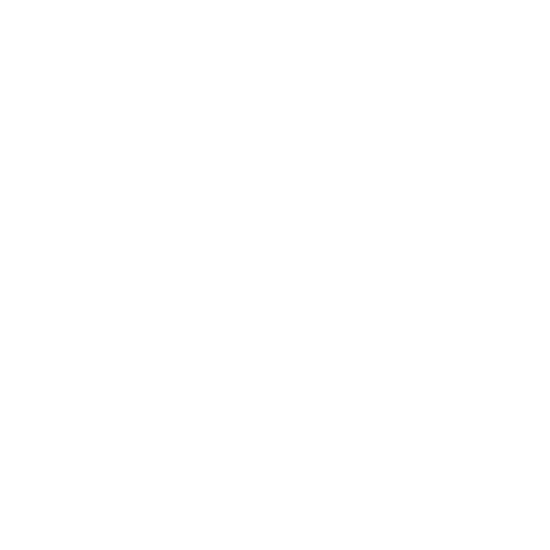 Basirutti